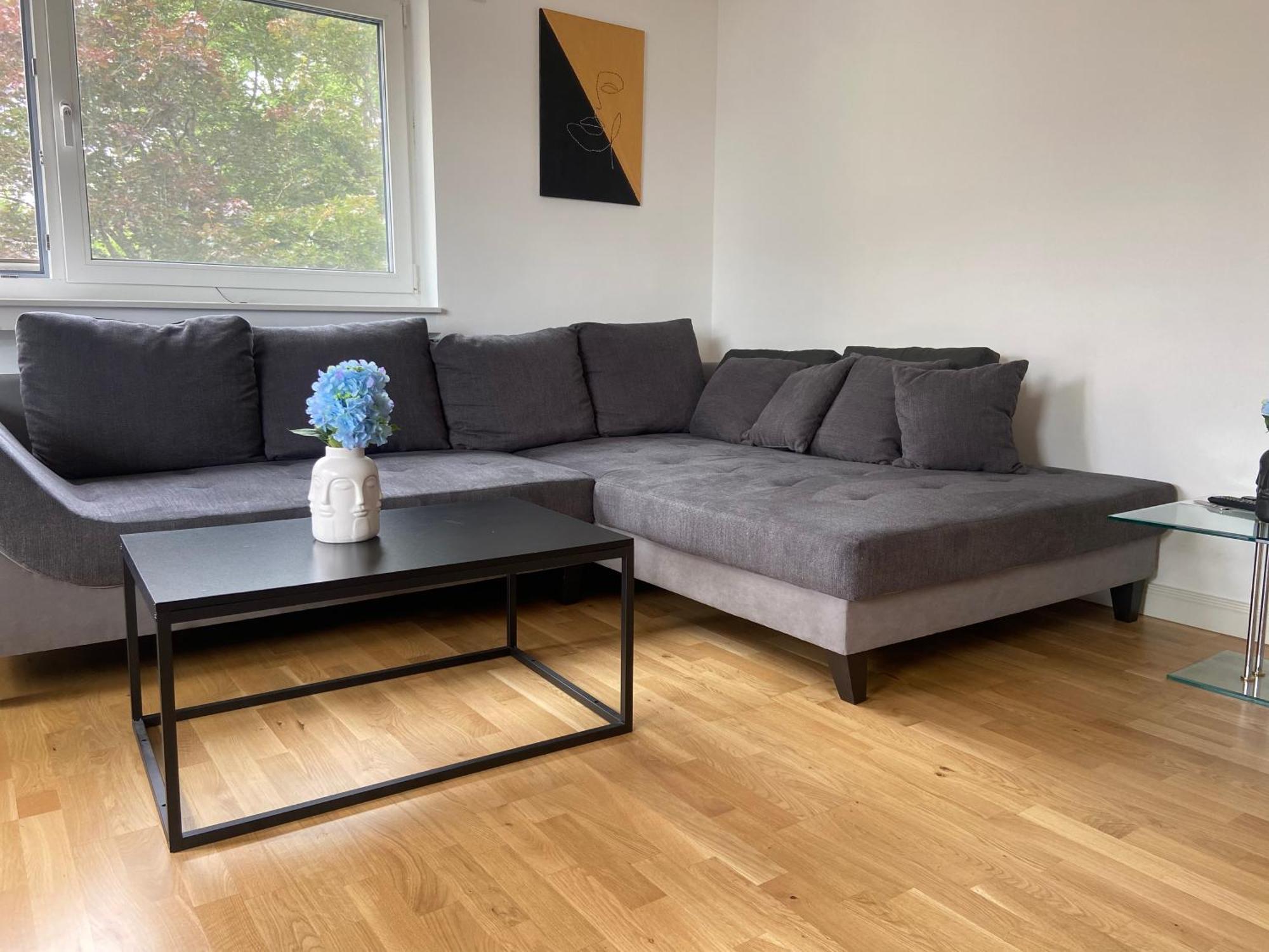 Luxury Apartment With Air Conditioning & Jaccuzzi Near Frankfurt Wiesbaden Hofheim am Taunus Exterior foto